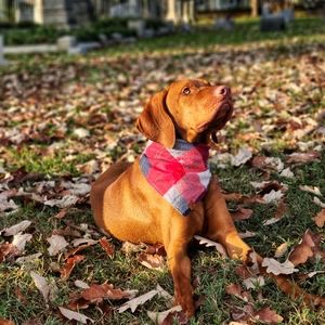 Meet your Posher, Hilary